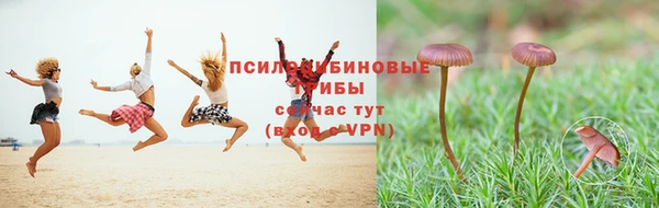 ГАЛЛЮЦИНОГЕННЫЕ ГРИБЫ Алзамай