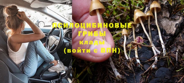 синтетический гашиш Алексин