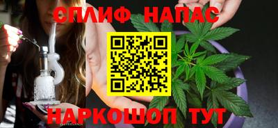 ECSTASY Краснодар