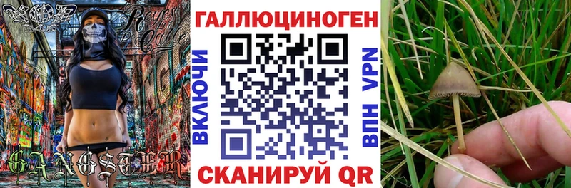 kraken сайт  сколько стоит  Коркино  Галлюциногенные грибы Cubensis 