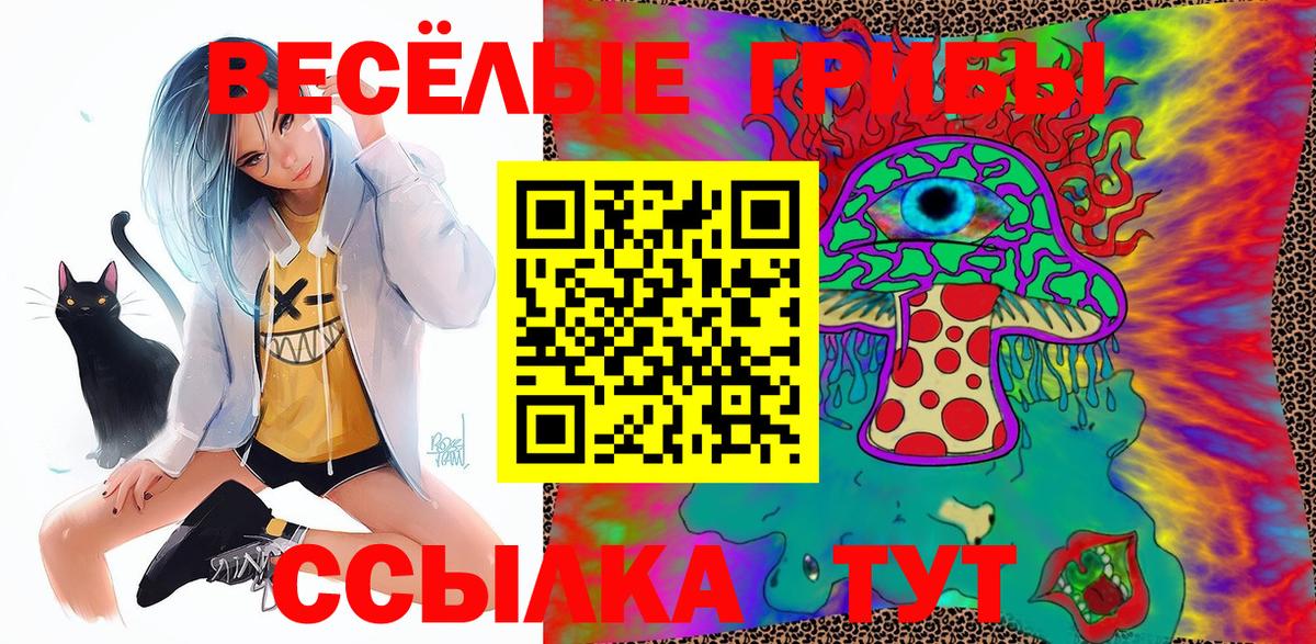 Псилоцибиновые грибы GOLDEN TEACHER  Вход с VPN  Коркино 